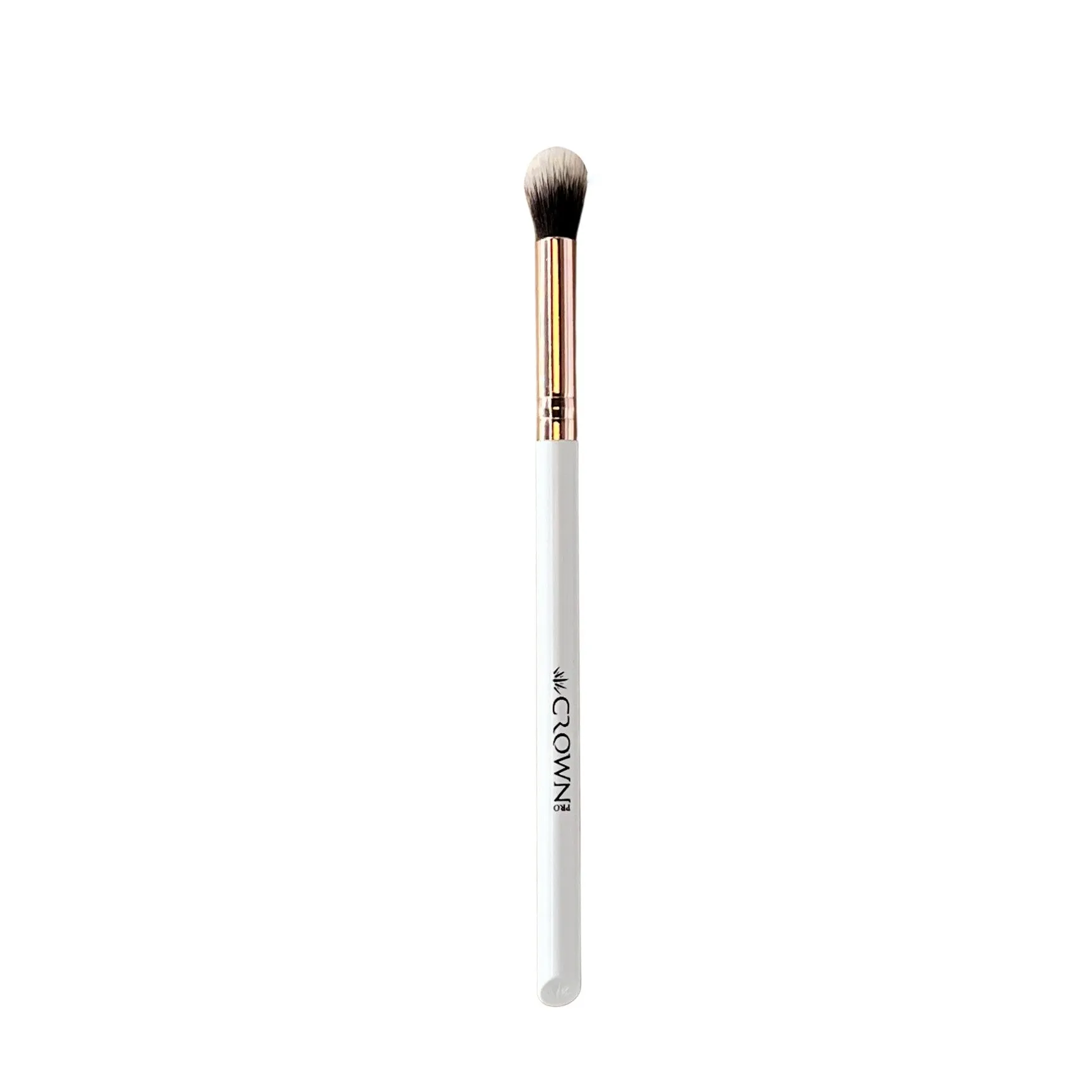10PC PRO BRUSH SET