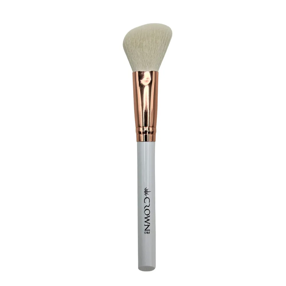 10PC PRO BRUSH SET