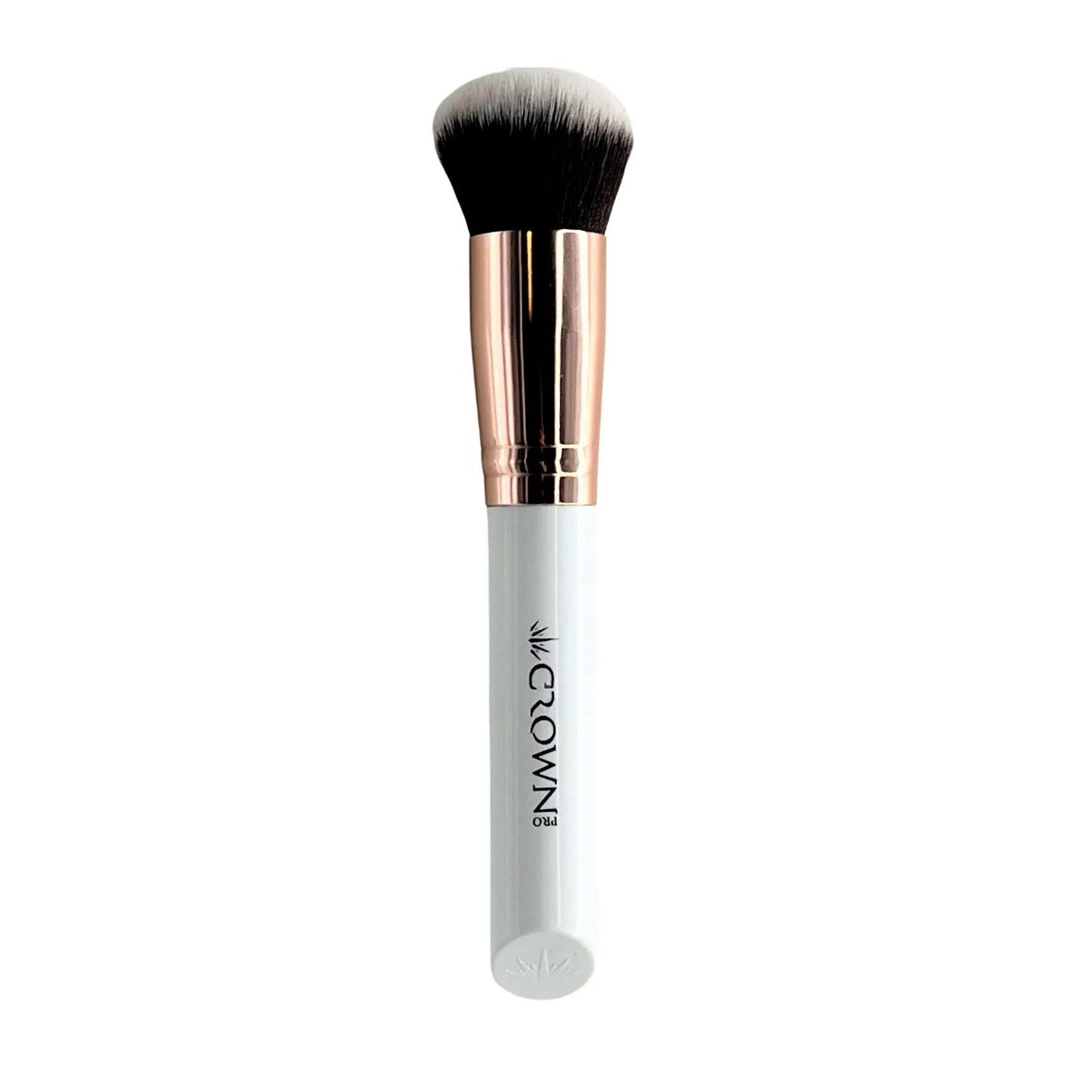 10PC PRO BRUSH SET
