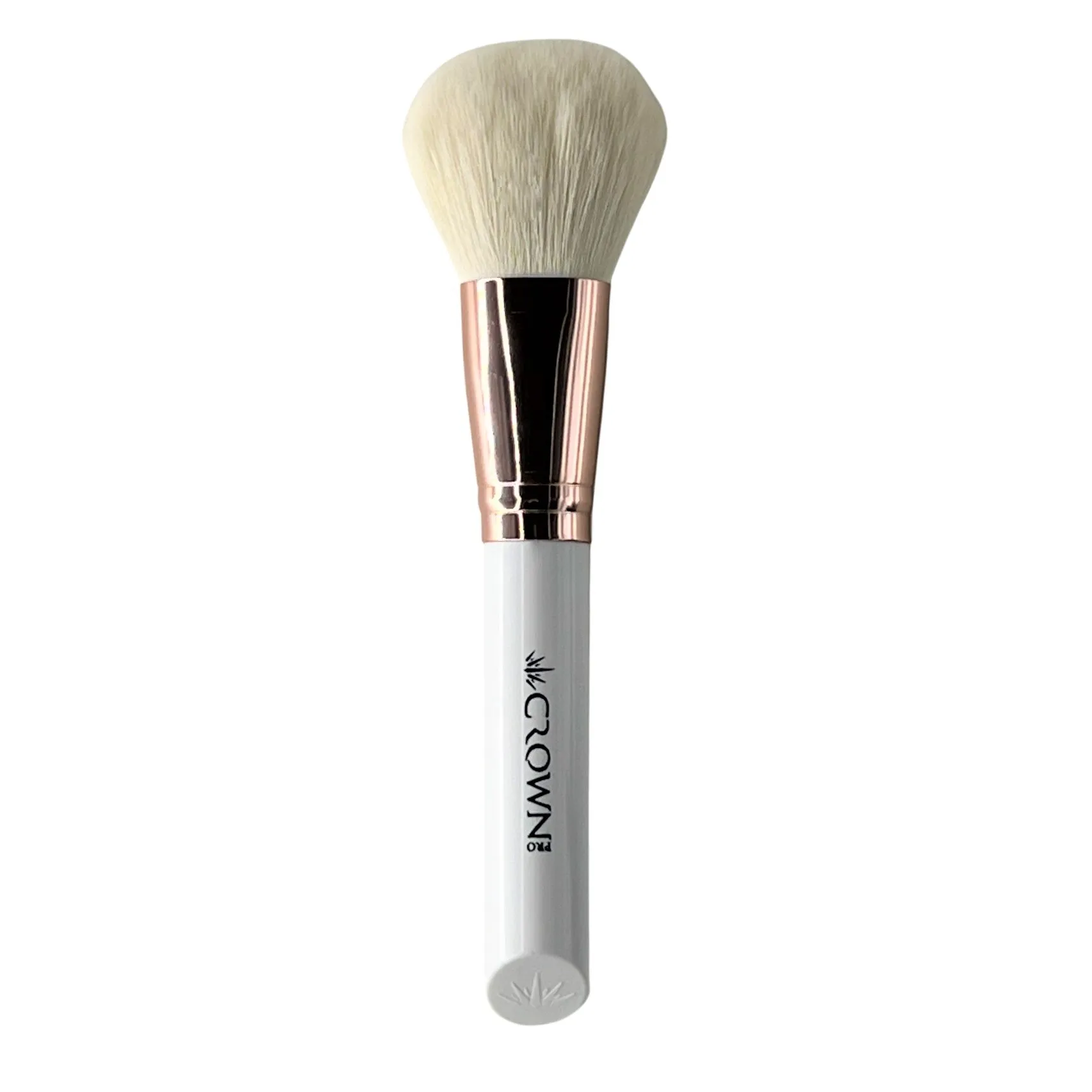 10PC PRO BRUSH SET