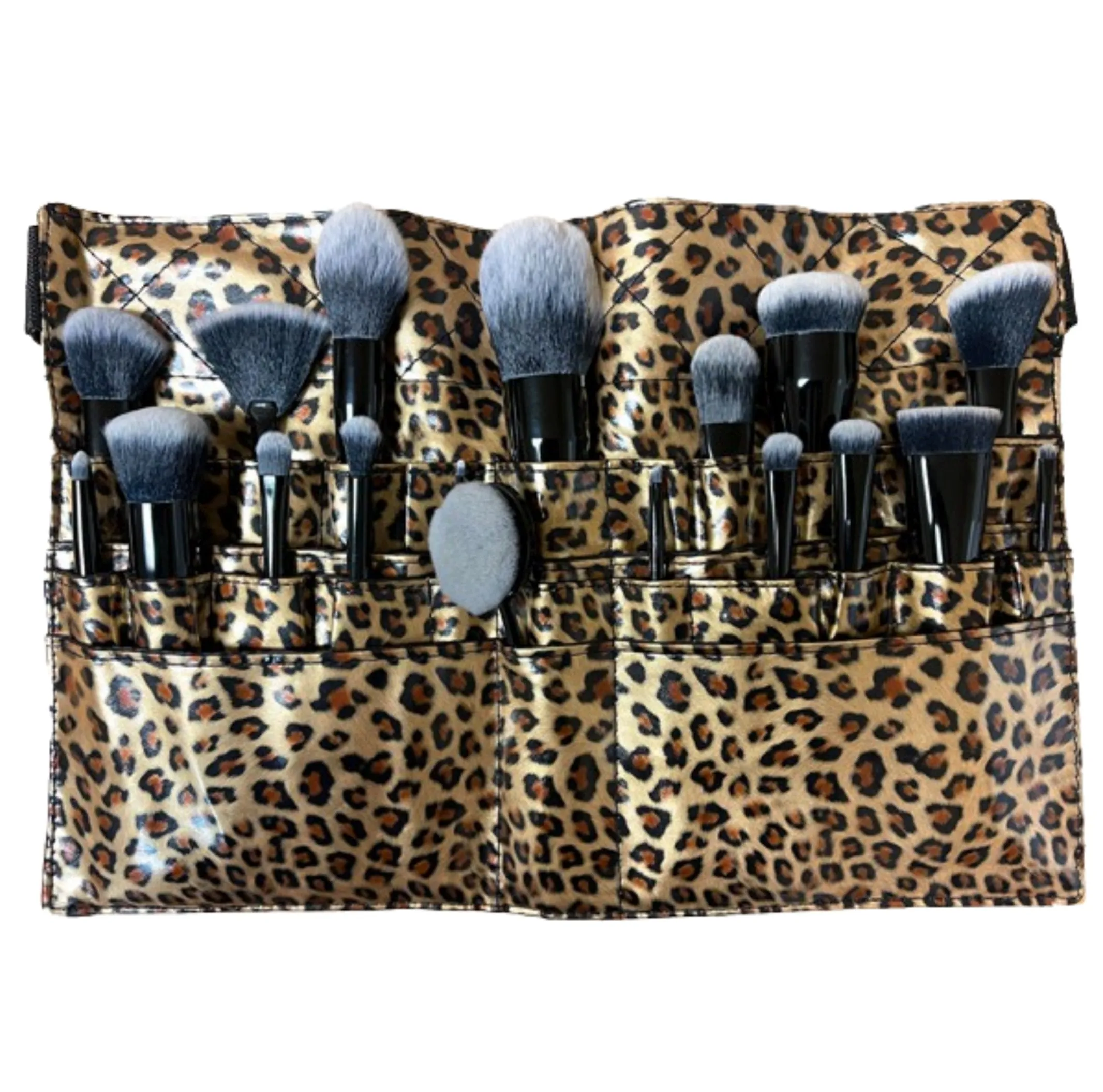 17pc Makeup Brush Set Includes Free Brush Apron
