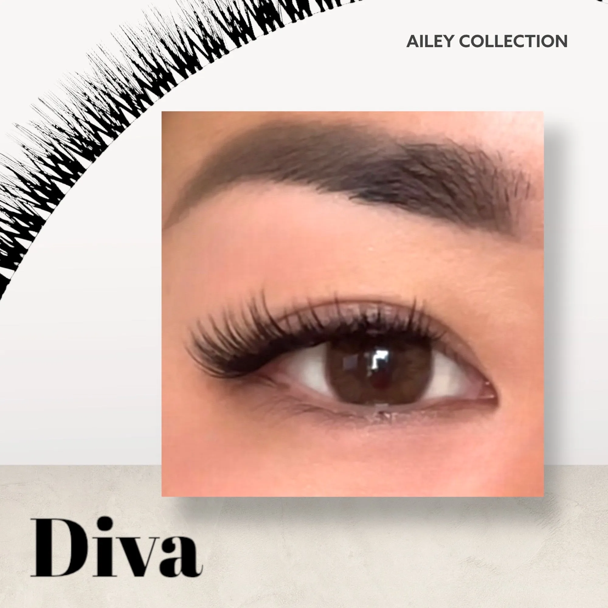 Ailey D.I.Y Lash MEGA Starter Kit