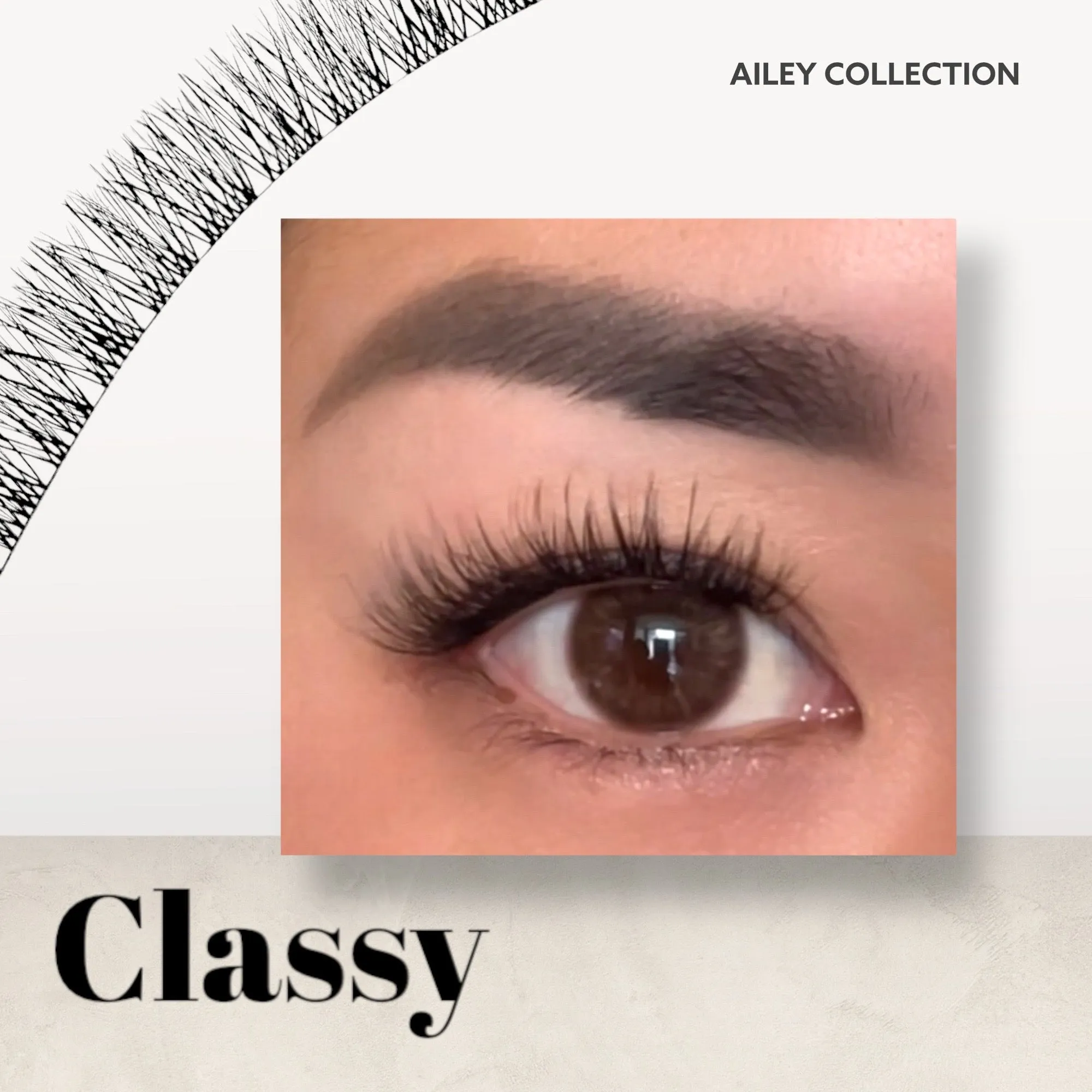 Ailey D.I.Y Lash MEGA Starter Kit