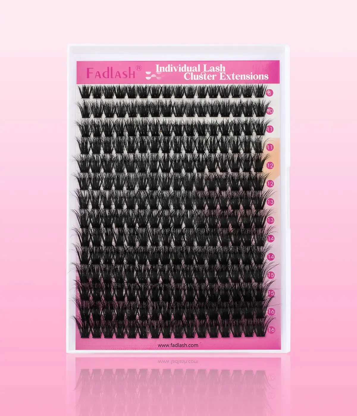 Astra 100D 3D Effect Fluffy Lash Clusters Beginner-Friendly Best at Home Lash Extensions