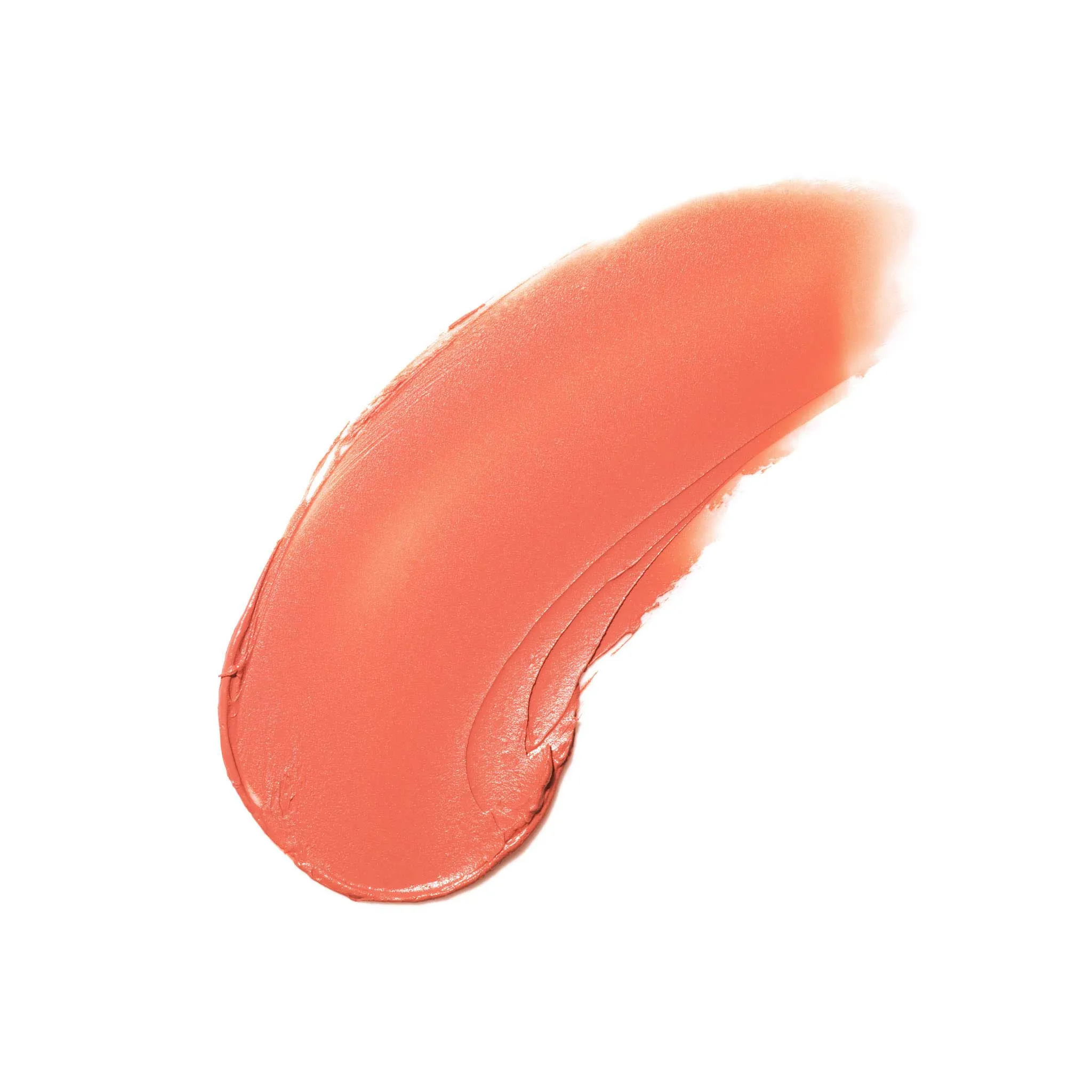 Blush Stick   Brush
