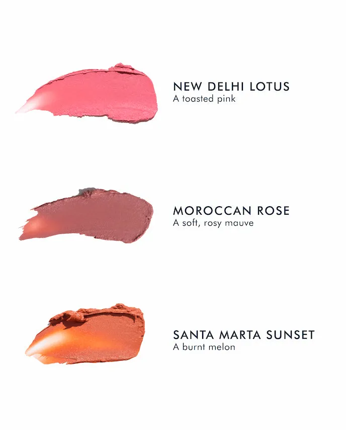 Blush Stick   Brush