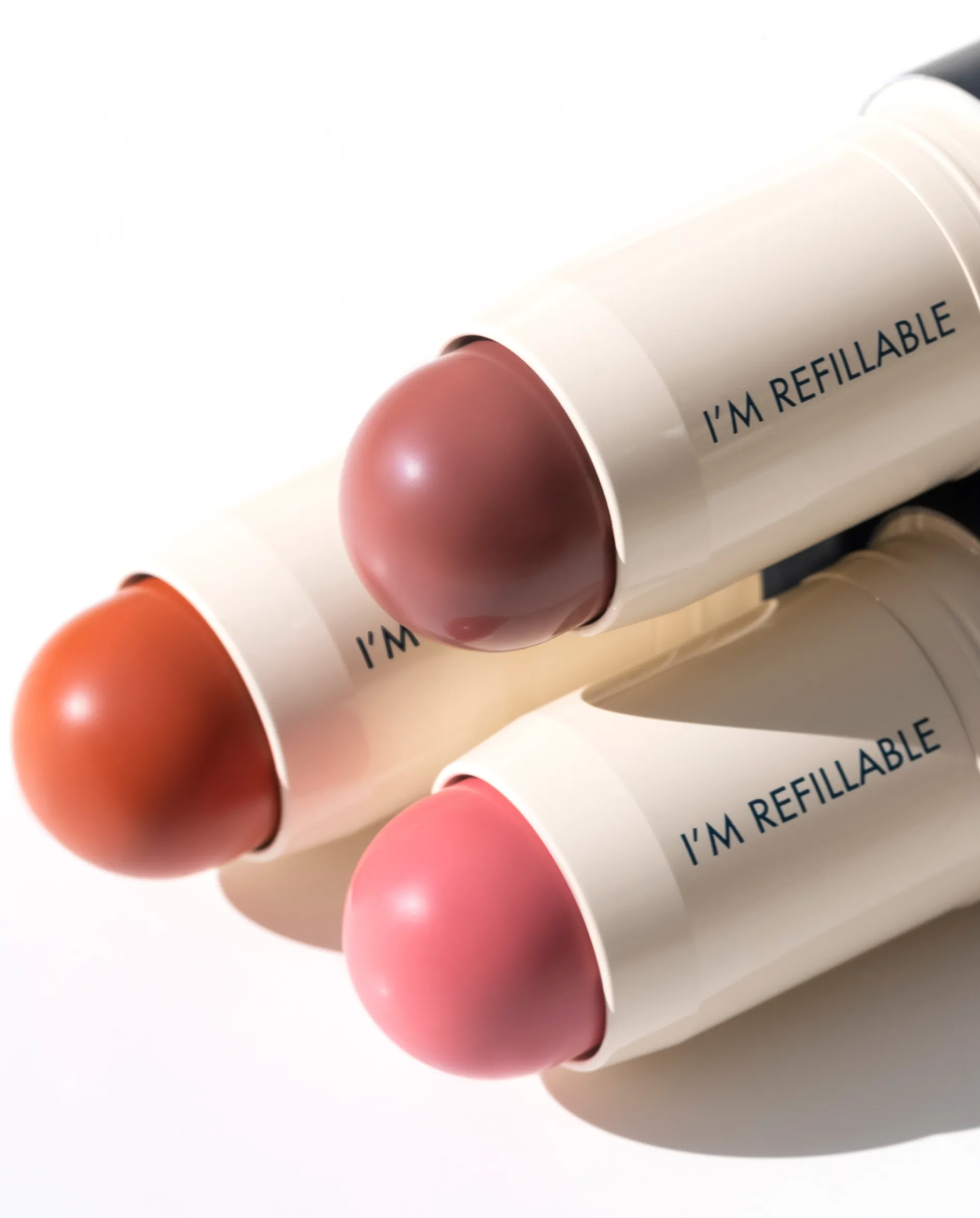 Blush Stick   Brush