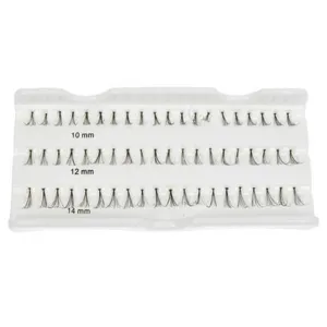 Body Collection Individual False Eyelashes