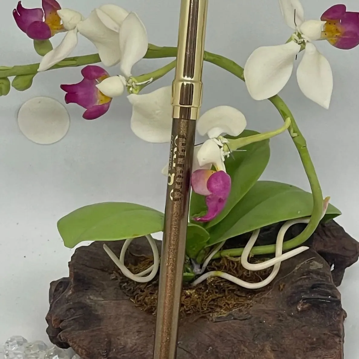 Cargo Cosmetics Swimmables Bronze Eyeliner Pencil Crayon Full size| 10 Dorado Beach