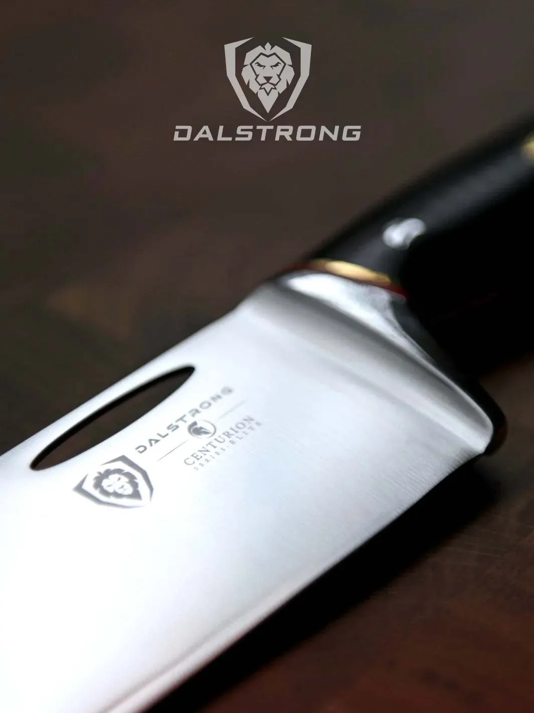 Chef Knife 10" | Centurion Series | Dalstrong ©