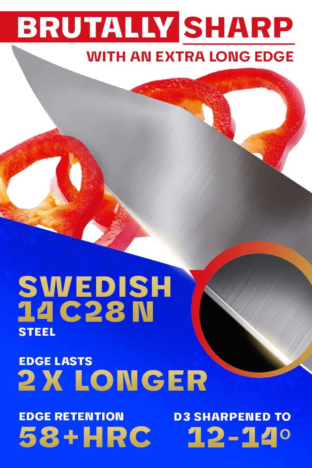 Chef Knife 10" | Centurion Series | Dalstrong ©