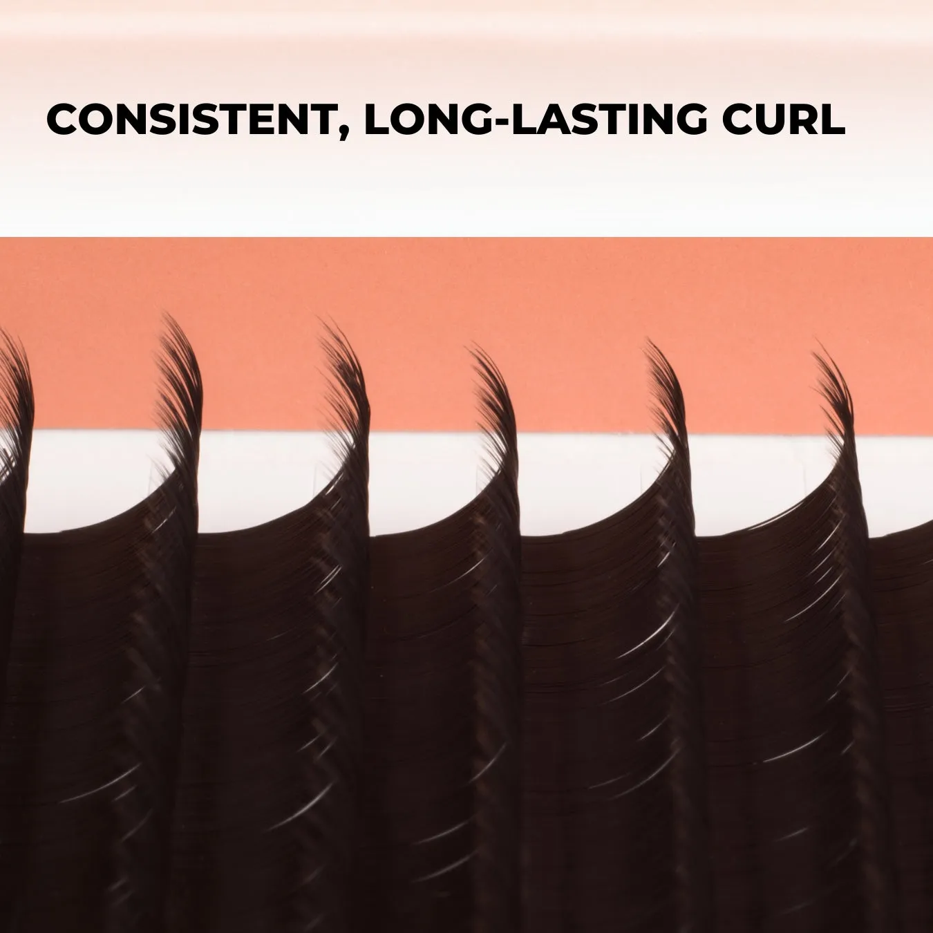 Classic Lashes Bundle