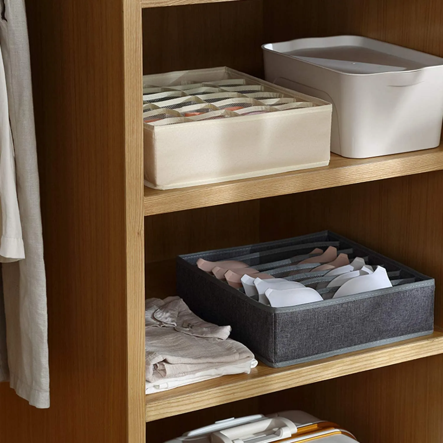 Collapsible Closet Cabinet Organizer (Pack of 2)