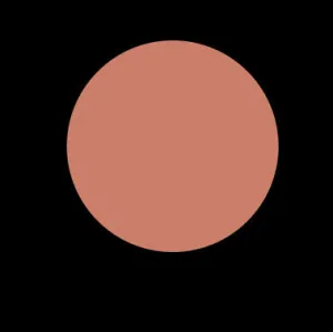 CONFUSED 45 VINYL LIP LACQUER
