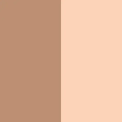 Contouring Duo Stick 10 Fair