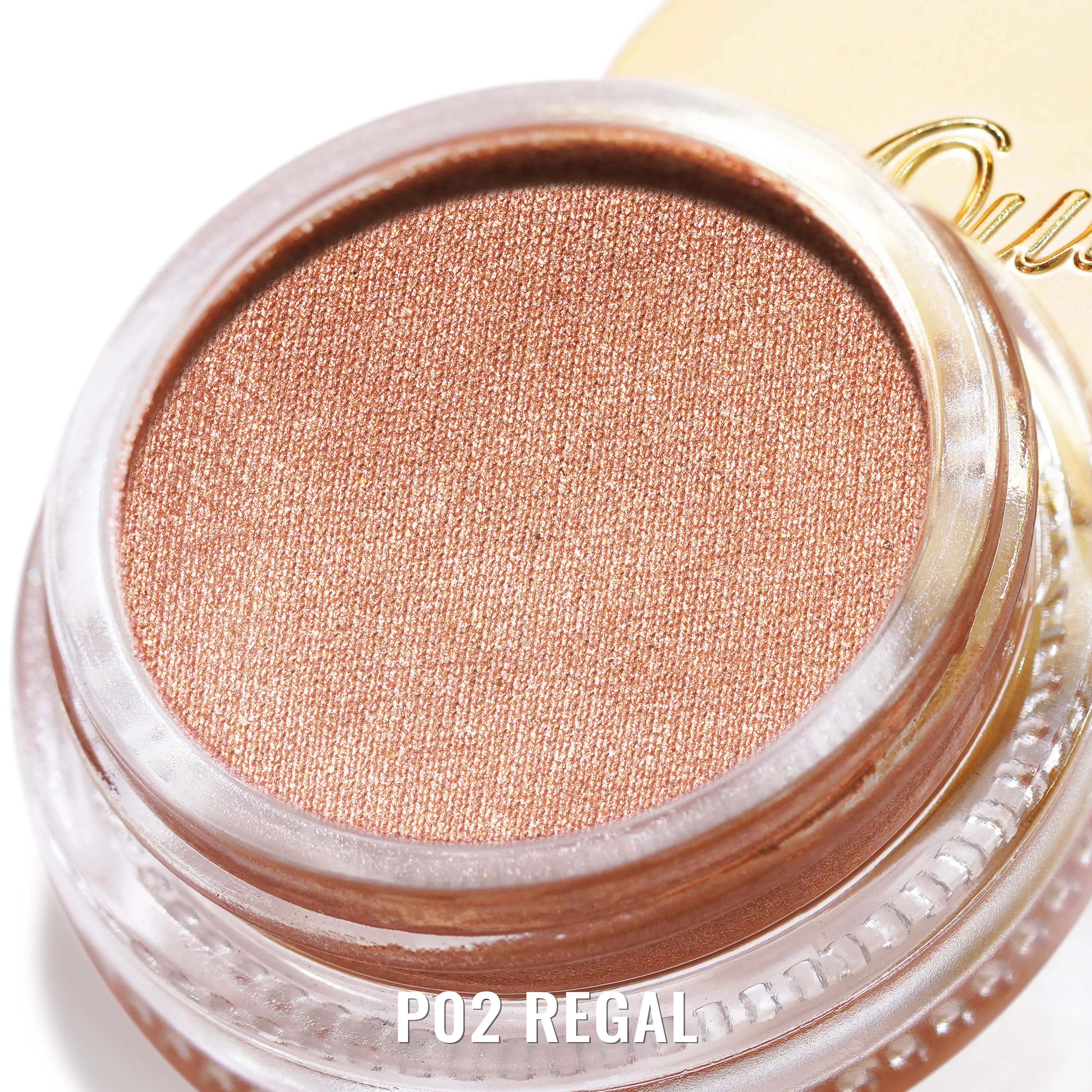 Cream Color | P02 Regal
