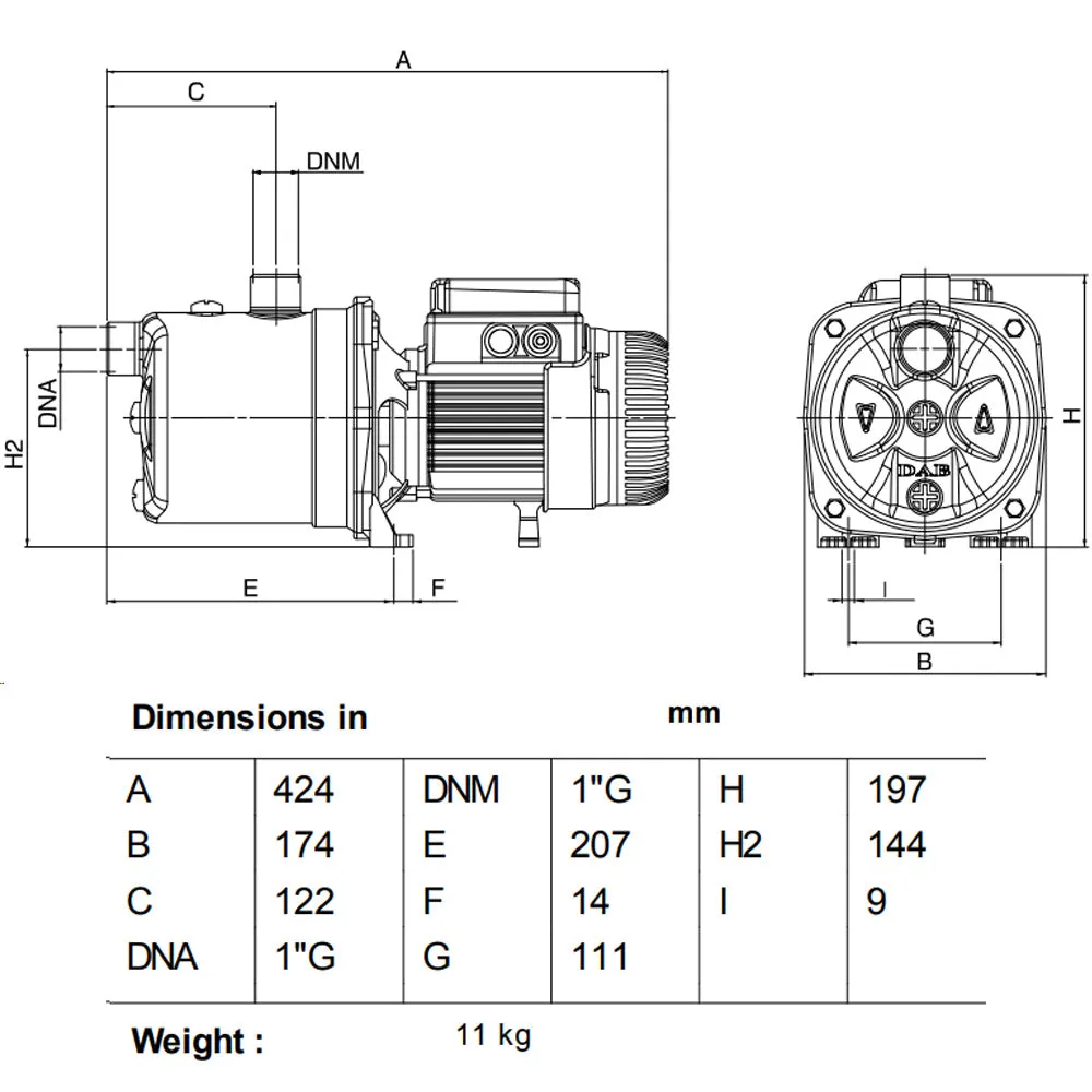 DAB Self Priming Electronic Stainless Steel Spear Point Pump
