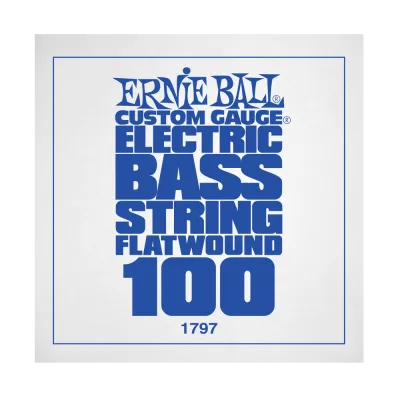 Ernie Ball 1797EB .100 Single Flatwound Electric Bass String