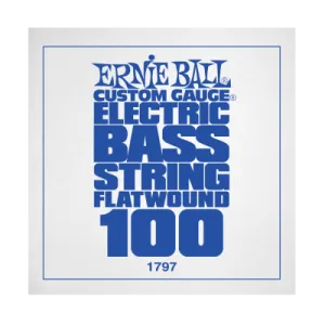 Ernie Ball 1797EB .100 Single Flatwound Electric Bass String