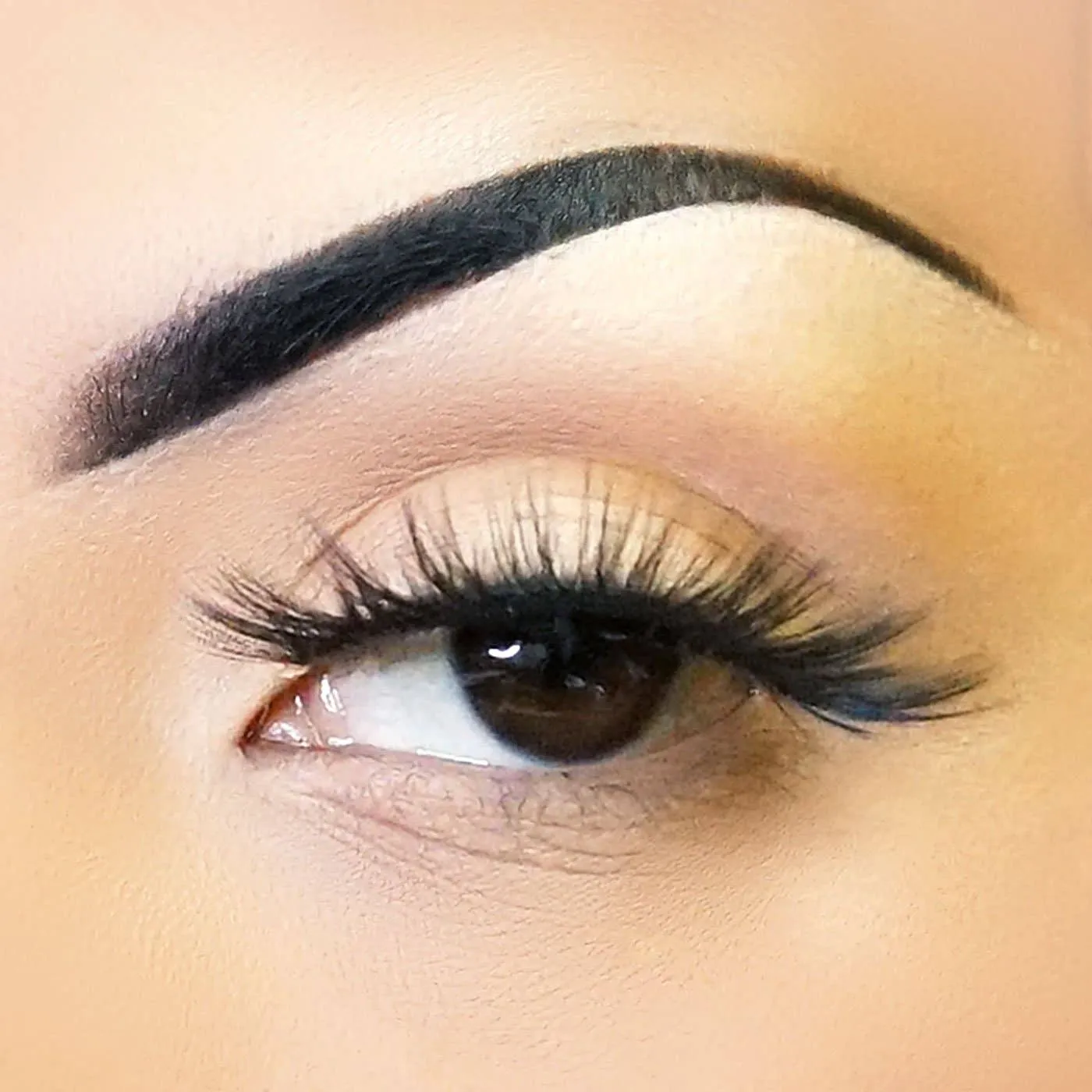 FABULASHES 3D Faux Mink Lashes A-66