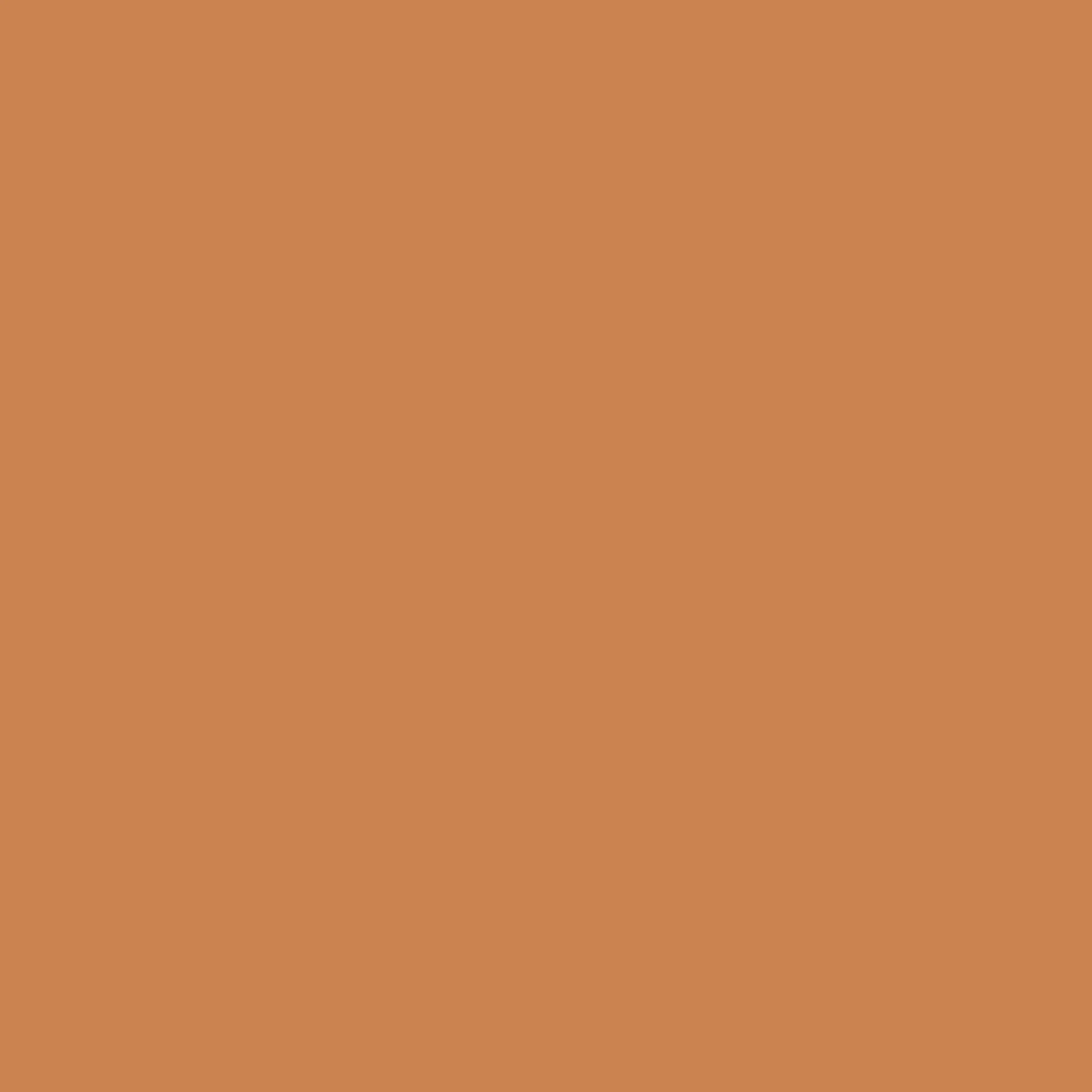 GBB945 BB CREAM MEDIUM