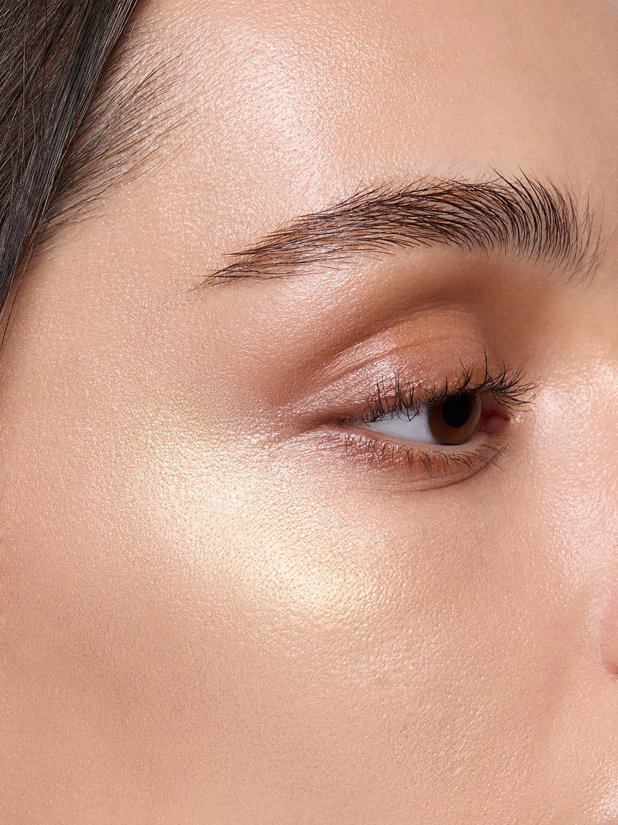 Highlighter