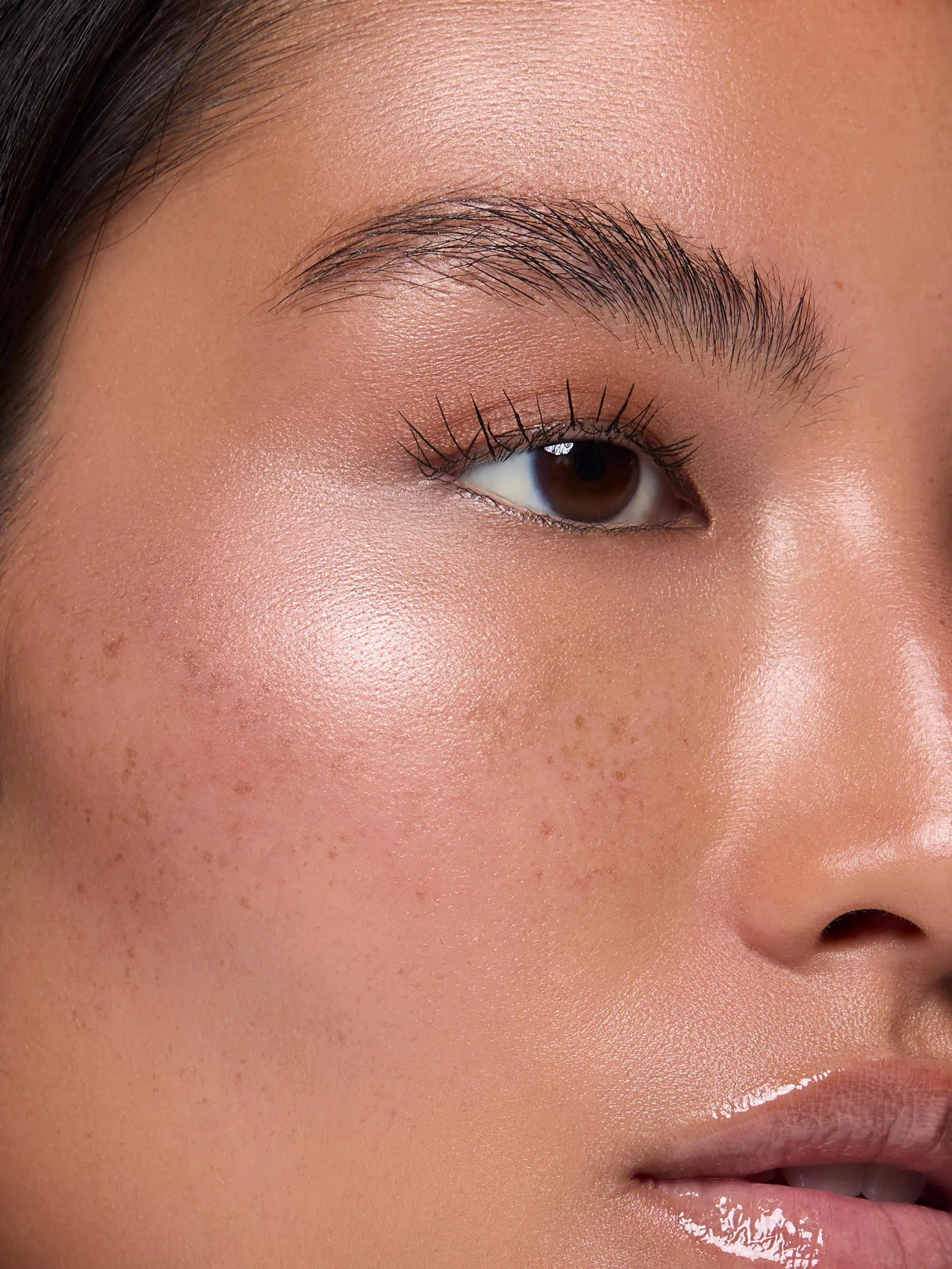Highlighter