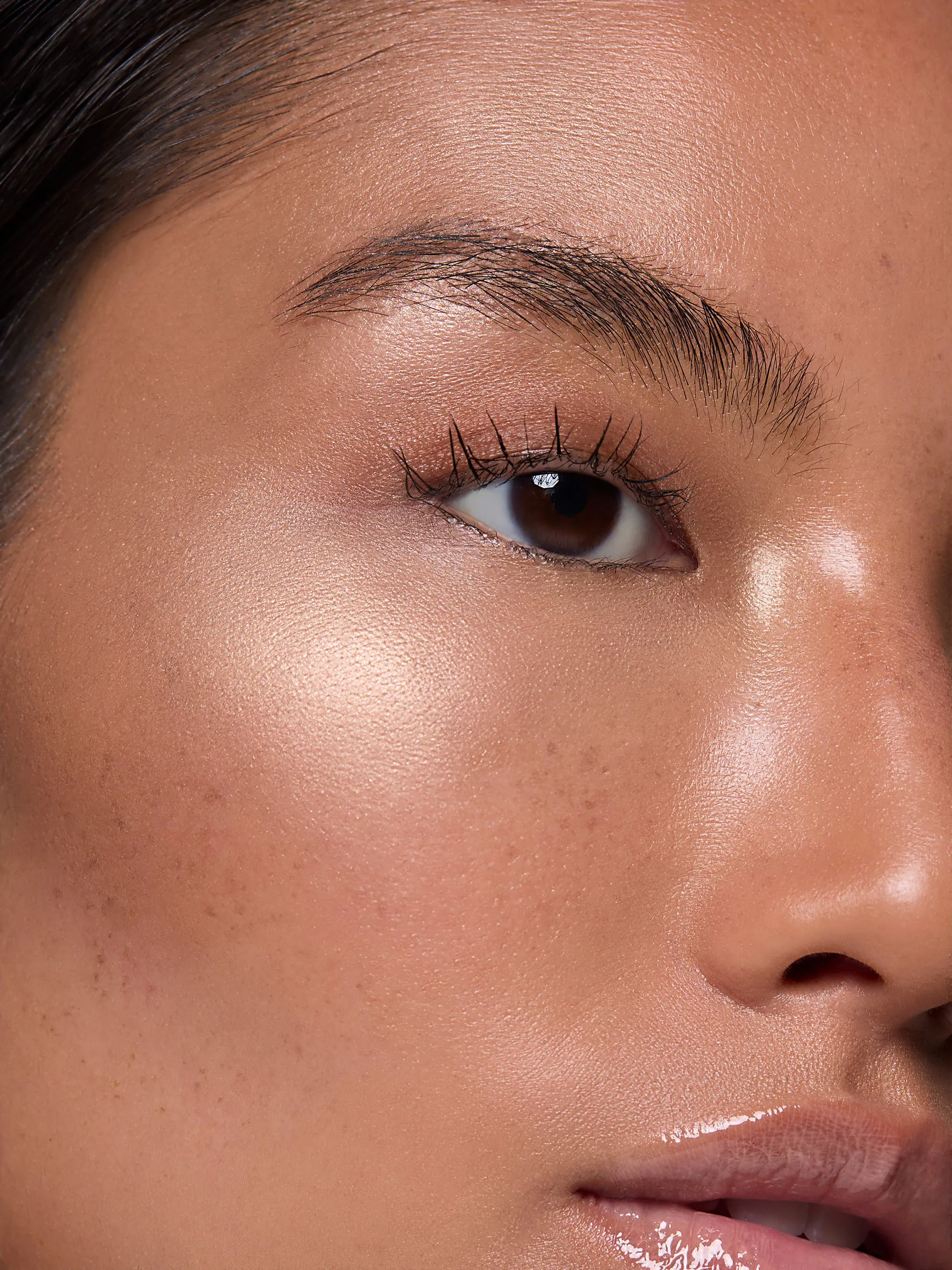 Highlighter