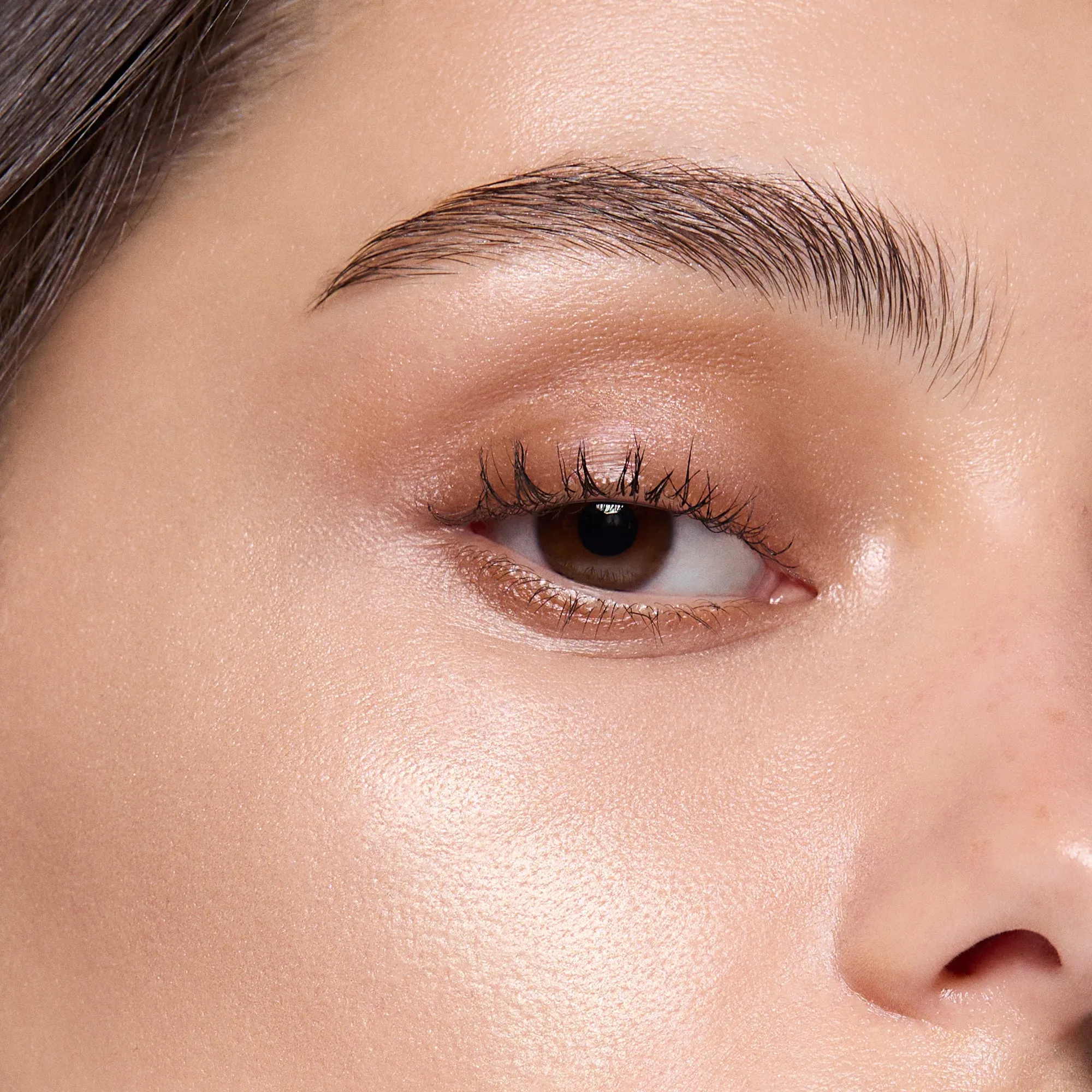Highlighter
