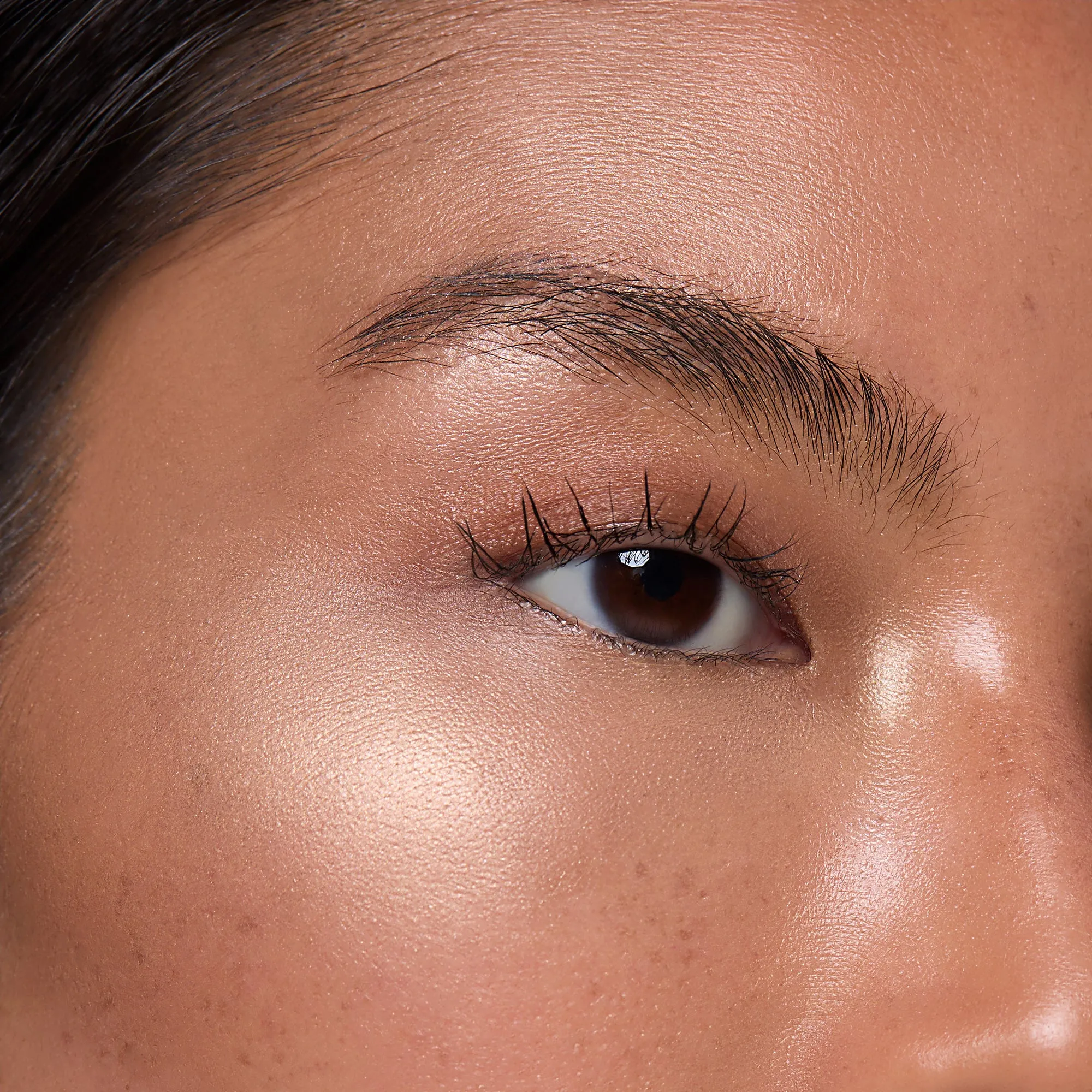 Highlighter