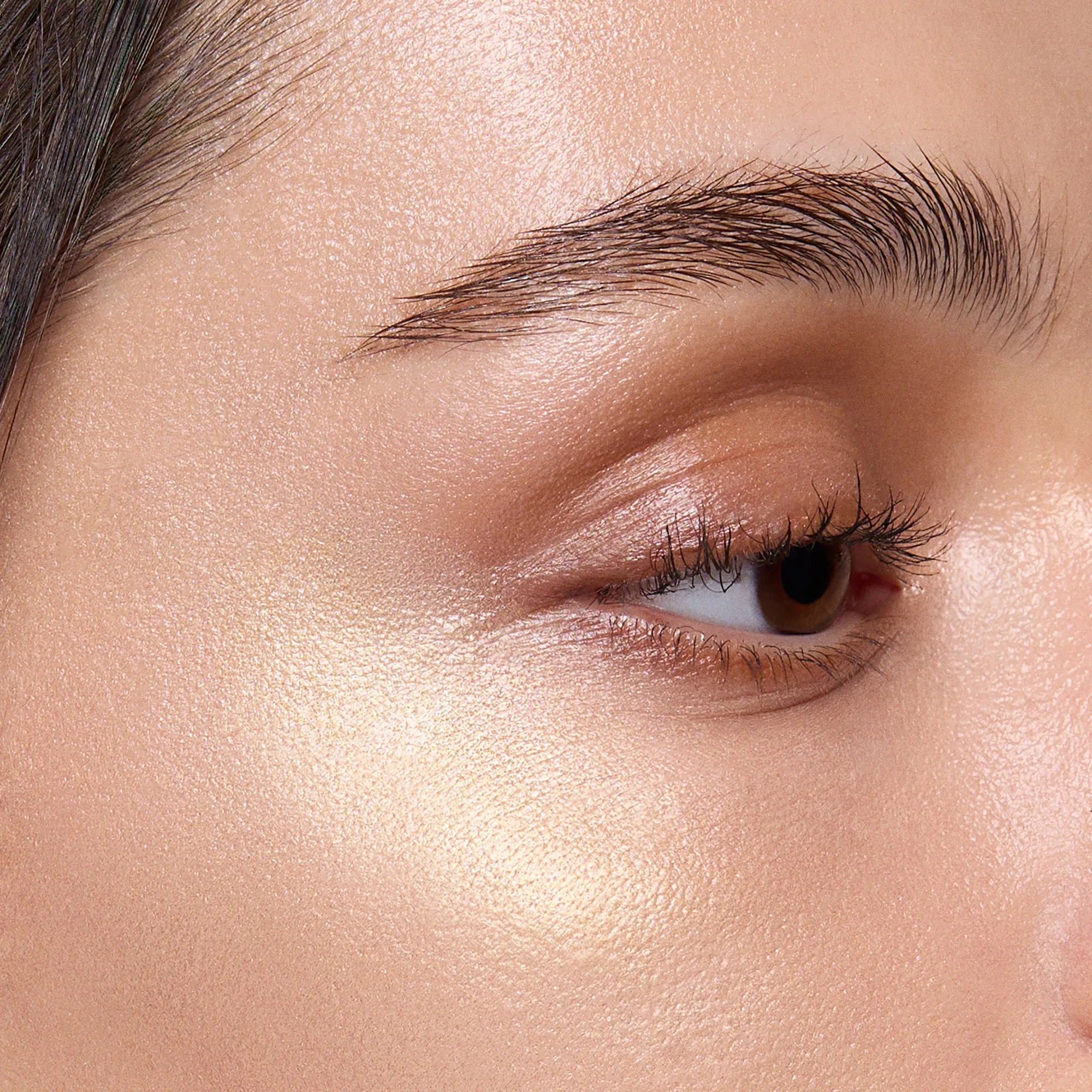 Highlighter