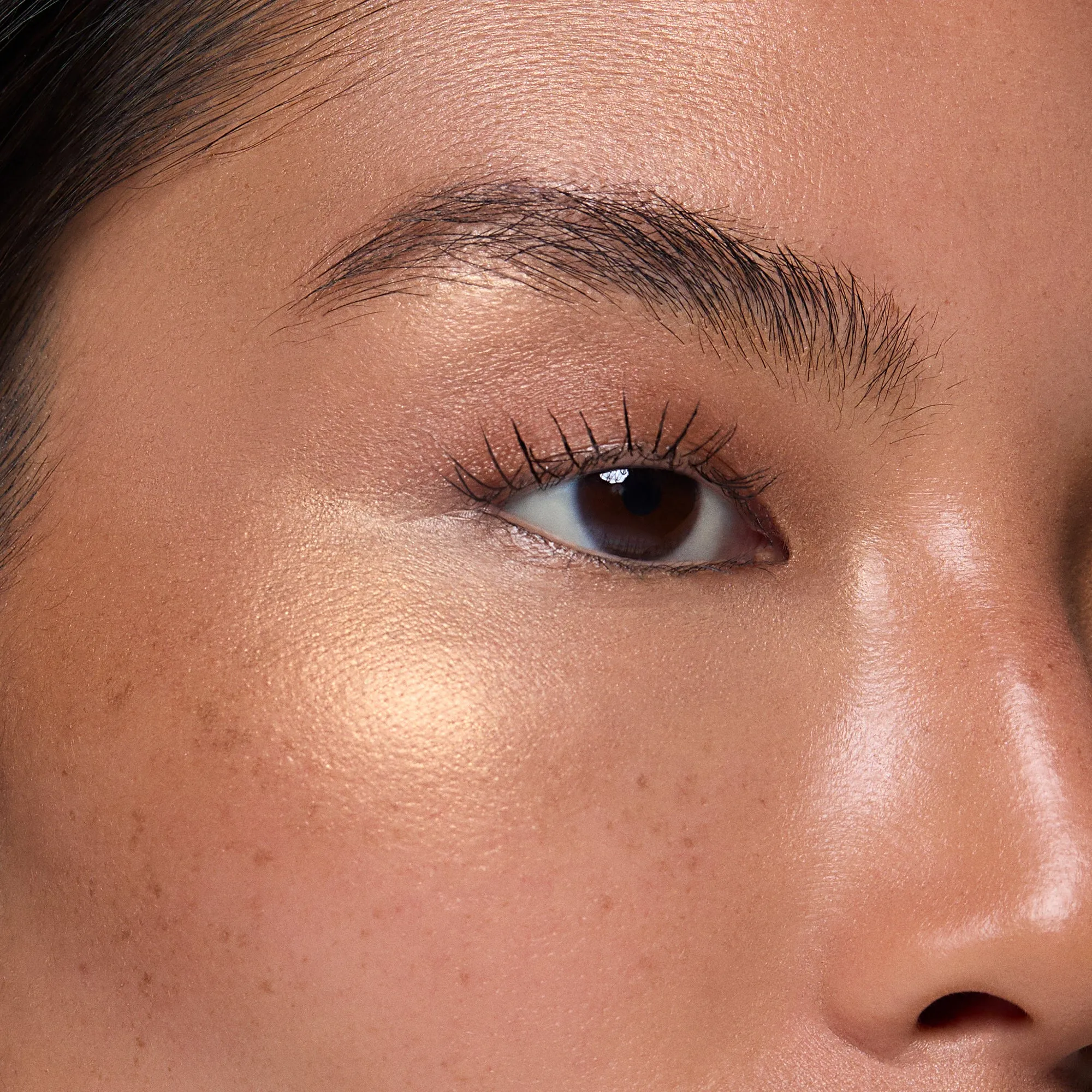 Highlighter