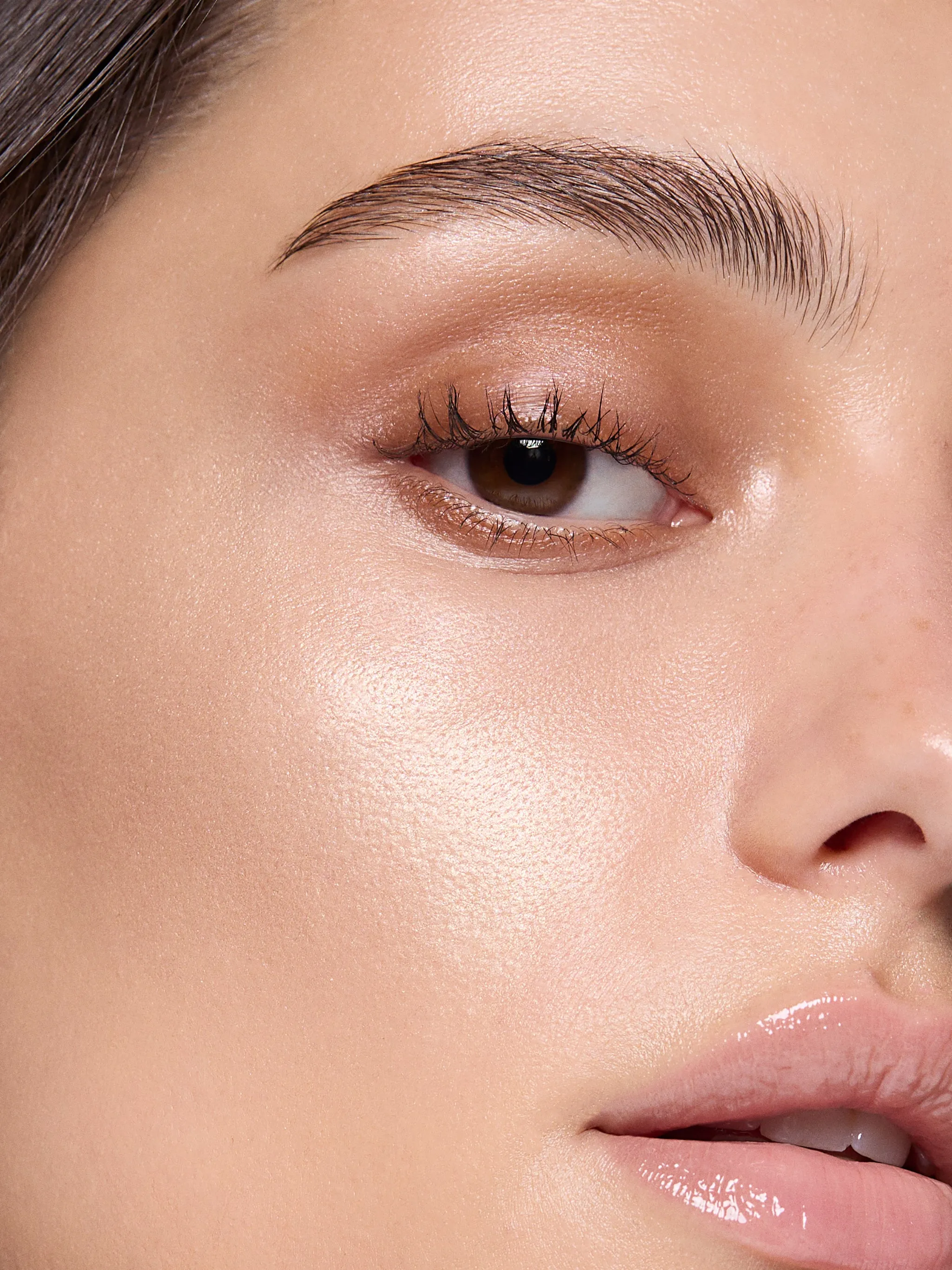 Highlighter