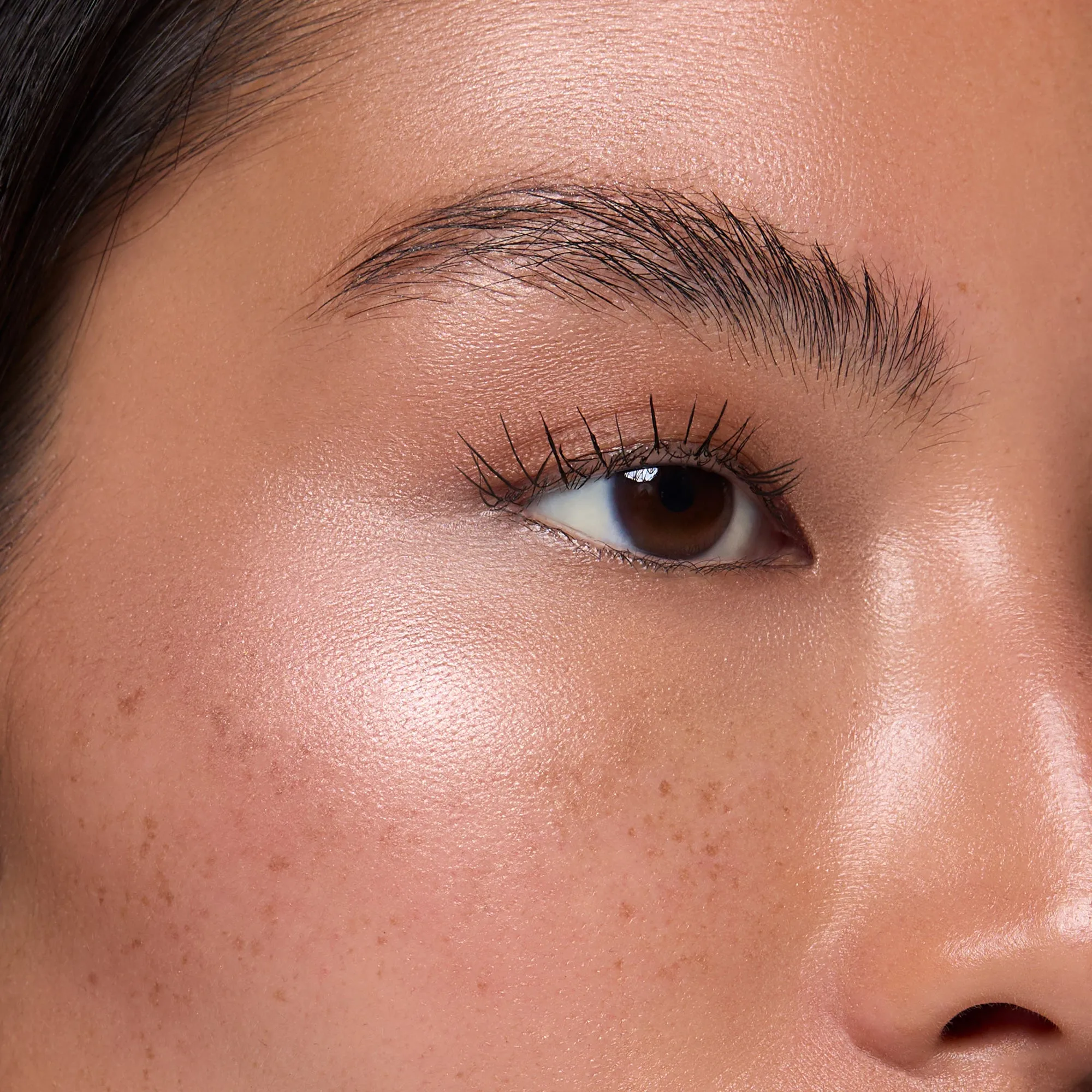 Highlighter