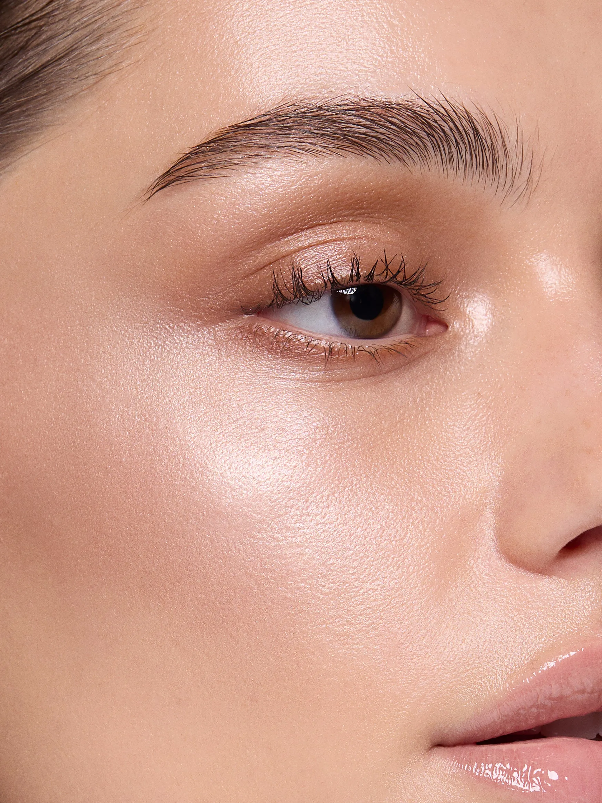 Highlighter