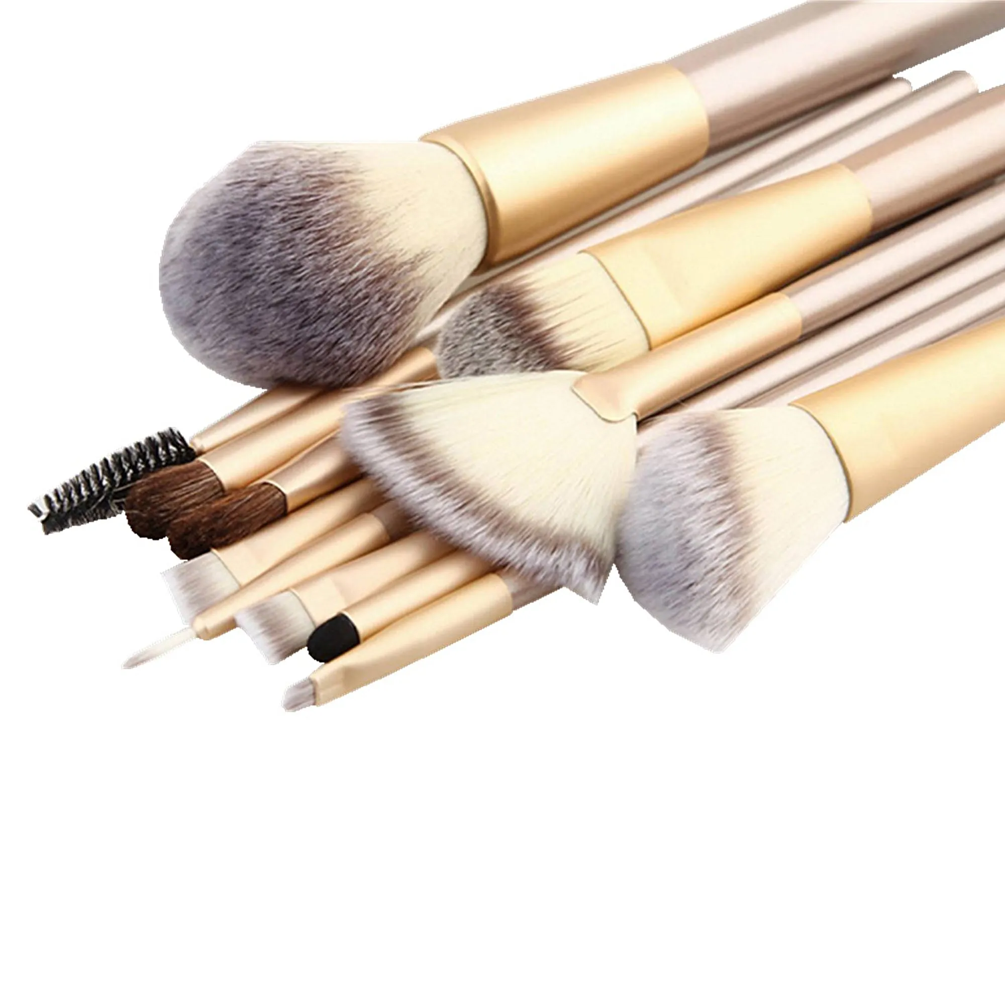 IGIA 12 PCs Makeup Brush Set -Professional  Multi-function Cosmetic Brushes with Bag
