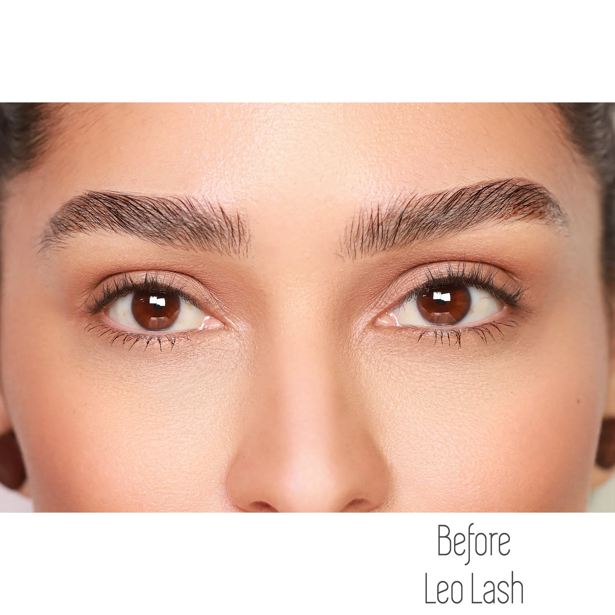Leo Full Lash