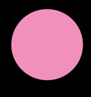 LOLLIPOP 29 VINYL LIP LACQUER