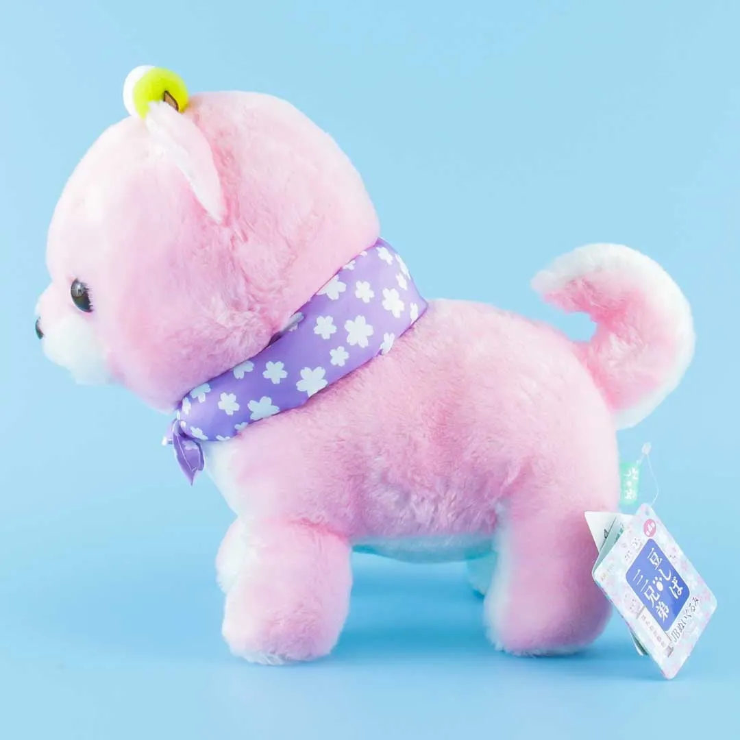 Mameshiba San Kyodai Sakura Plushie - Mametaro / Big
