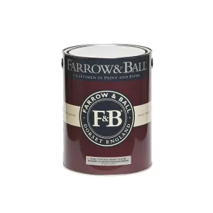 Masonry & Plaster Stabilising Primer