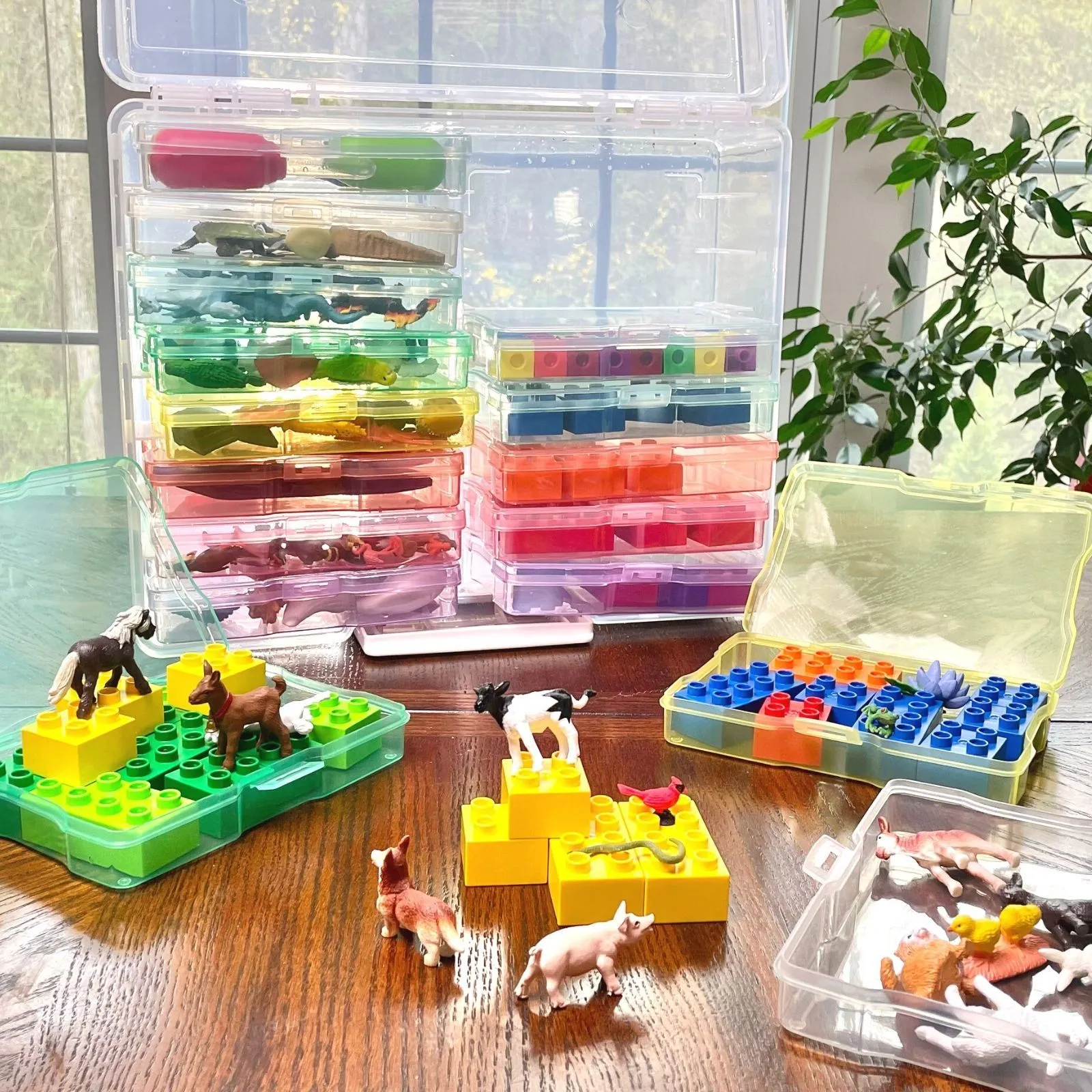 Multicolor Toy Organizer Bin