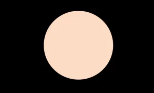 N4 COOL NEUTRAL LIQUID CONCEALER