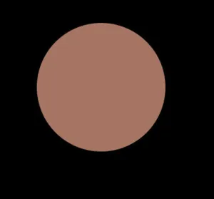 N85 COOL NEUTRAL LIQUID CONCEALER