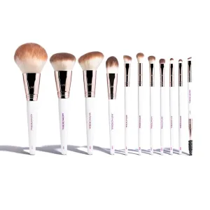 Professional Antimicrobial Brush Set  (11 )