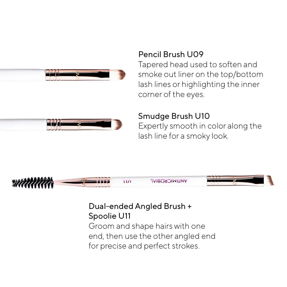 Professional Antimicrobial Brush Set  (11 )