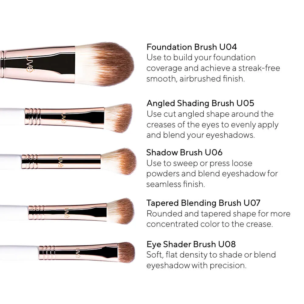 Professional Antimicrobial Brush Set  (11 )