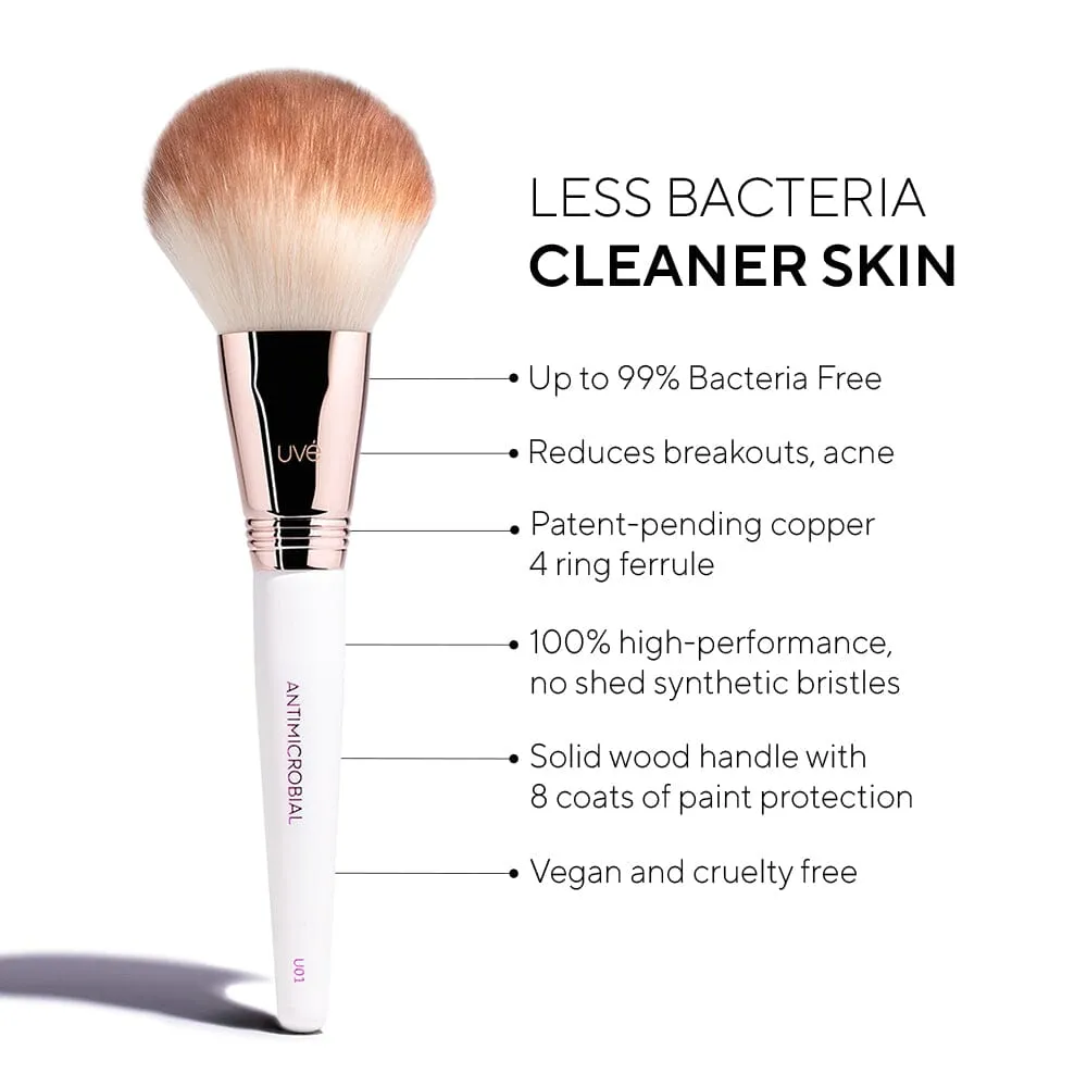 Professional Antimicrobial Brush Set  (11 )