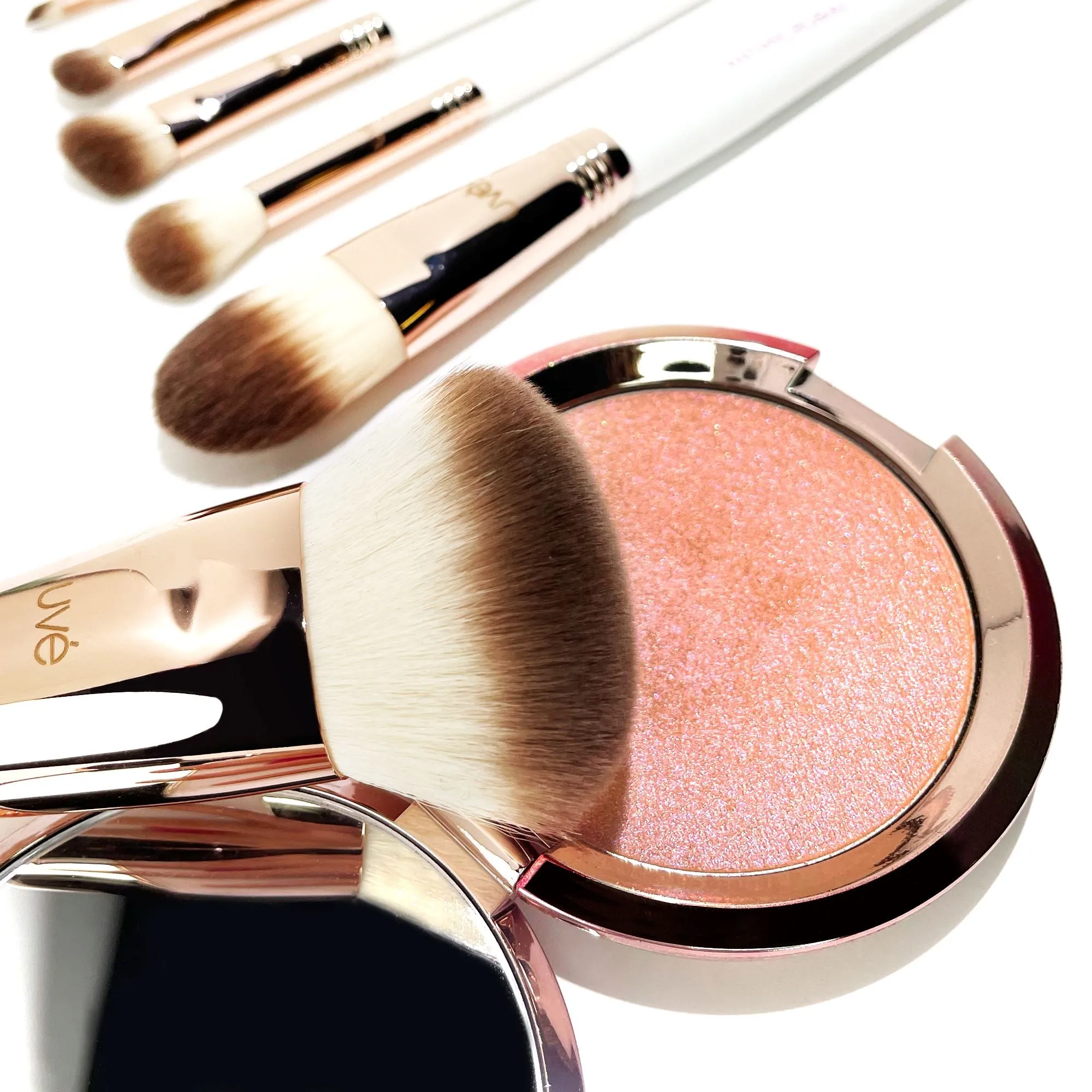 Professional Antimicrobial Brush Set  (11 )