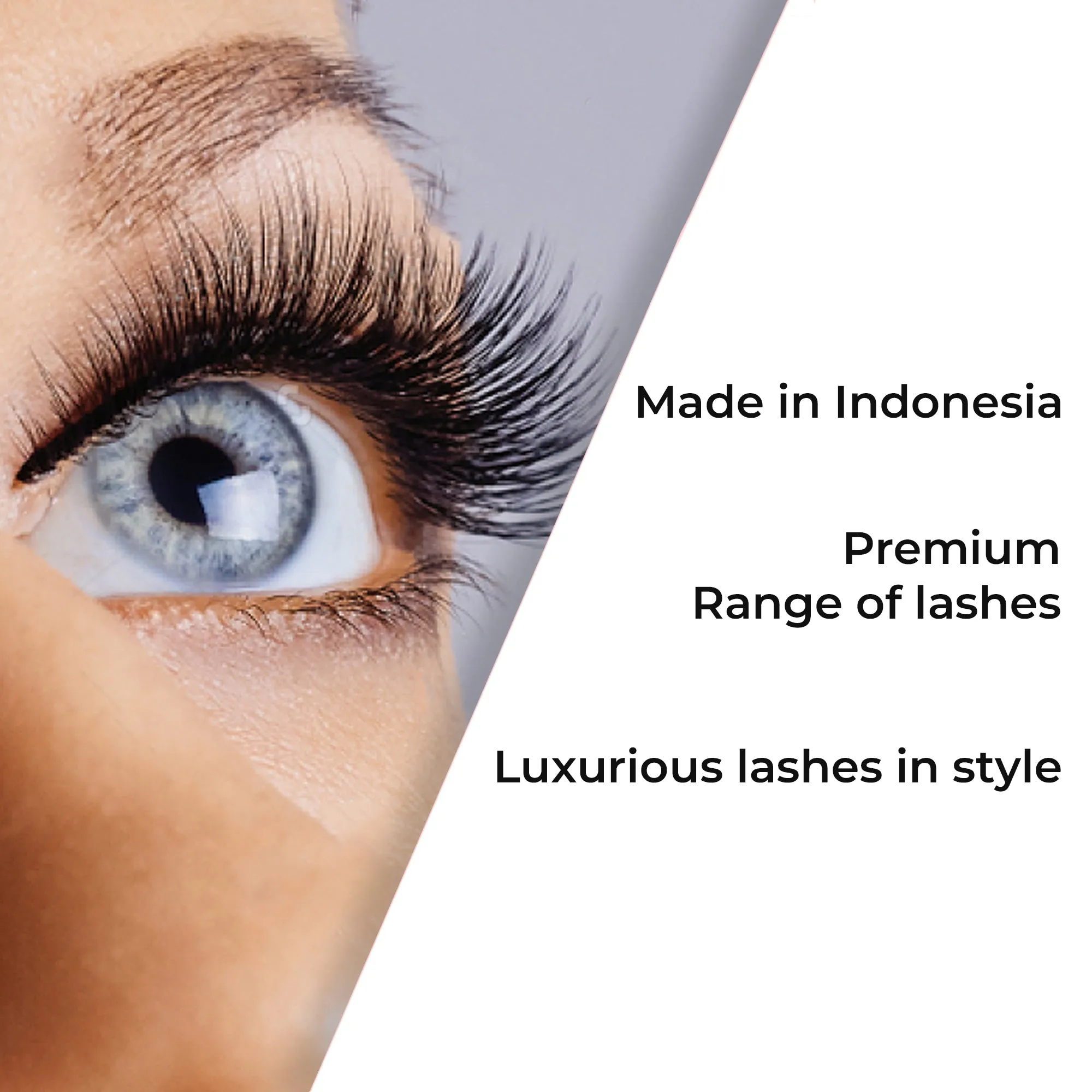 Professional Individual Ultra Thick Lashes, 7 Ply Flare Black, Knot Free & Short For Intense Volume (BF1004-Short)