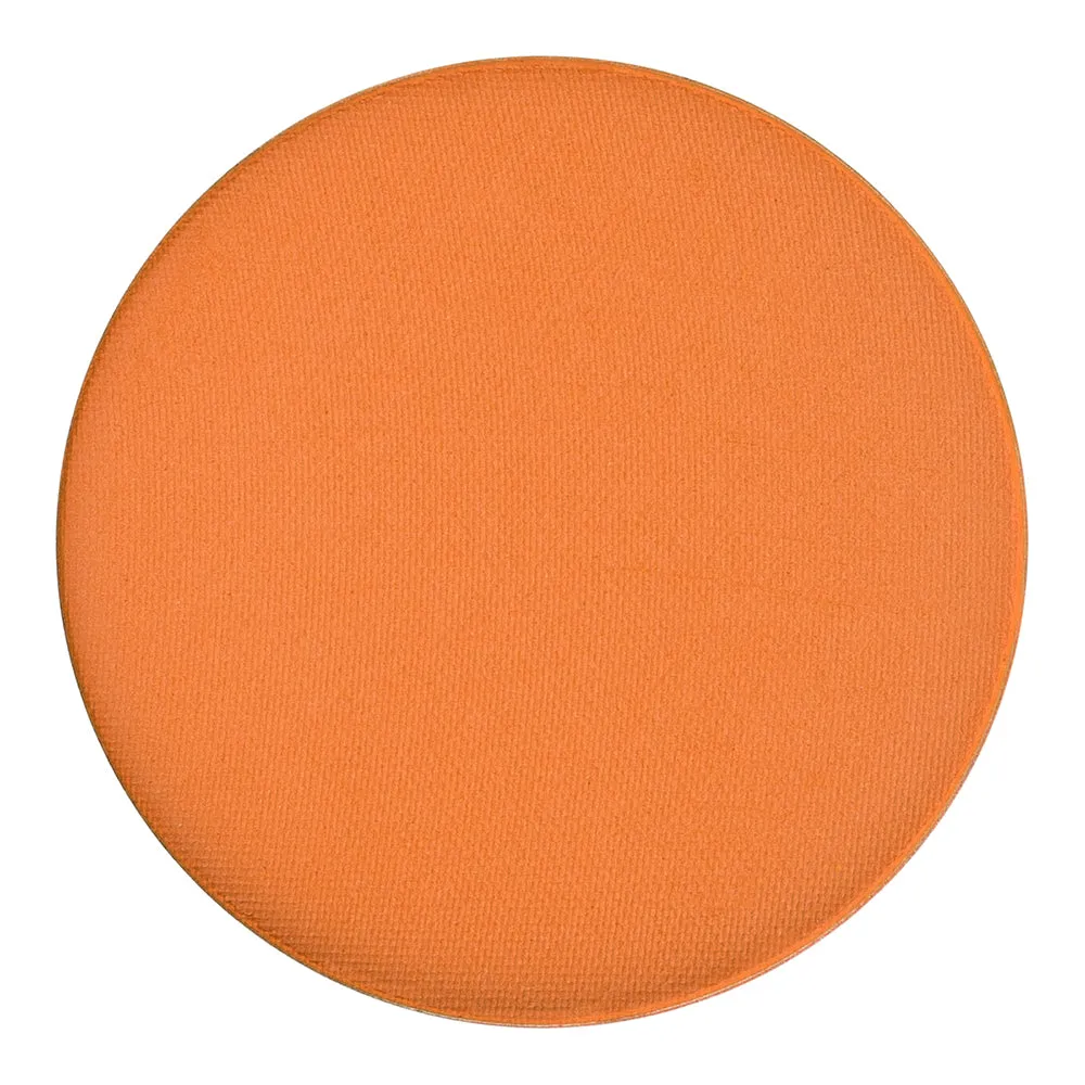 Pure Pigment Palette
